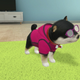 Illustration for article titled New Pet Sim For Switch Is No iNintendogs/i But Its Still Better Than My Real Dog